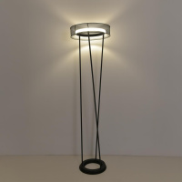 Торшер светодиодный Lumion ALVA 8370/30FL