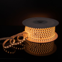Светодиодная лента Elektrostandard 220V 11W 60Led мульти, 50 м a053641