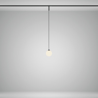 Трековый магнитный светодиодный светильник Maytoni Basity Luna TR178-1-5WTW-B