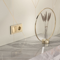 Выключатель двухклавишный проходной шампань Werkel W1122011 4690389157141 a050866