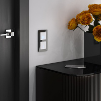 Сенсорный выключатель одноклавишный с функцией Wi-Fi Werkel a048321 a048321