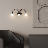 Бра Eurosvet Ragno 90031/3 черный a070274