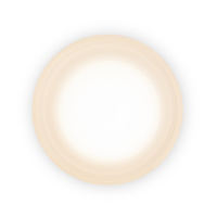 Светильник настенно-потолочный Freya Retro FR5603WL-L8W