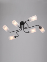 Потолочная люстра Vitaluce V4310-1/6PL