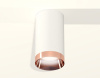 Потолочный светильник Ambrella Light Techno XS6322025