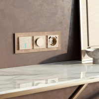 Диммер N шампань рифлерый Werkel W1142010 a069603