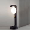 Уличный ландшафтный светильник Odeon Light LUMA 5434/1F