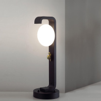Уличный ландшафтный светильник Odeon Light LUMA 5434/1F
