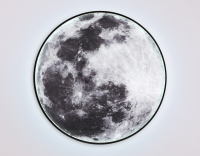 Светильник настенно-потолочный светодиодный Ambrella light WALLERS FW11113