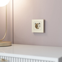 Рамка на 1 пост Werkel Slab (шампань софт) W0012911 a071623