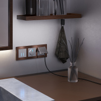 Розетка с заземлением с защитными крышкой и шторками Werkel серебряный W1171206