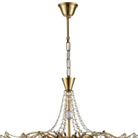 Люстра подвесная Lumion KRISTINA 8243/8