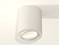 Потолочный светильник Ambrella light Techno spot XS7421001