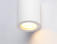 Светильник потолочный Ambrella light Techno TN22797