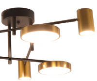 Люстра потолочная светодиодная Kink Light Рапис 07645-6D,19(20)