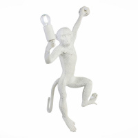 Настенный светильник Evoluce Tenato SLE115111-01