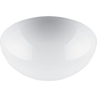 Настенно-потолочный светильник Feron НБП 06-60-002 41402