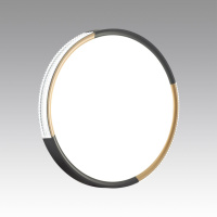 Светильник настенно-потолочный светодиодный Sonex VELIO 7629/ELN