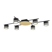 Светильник потолочный Lumion BENUA 8304/6C Светильник потолочный Lumion BENUA 8304/6C