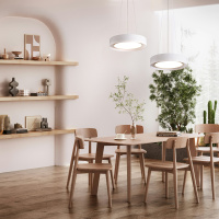 Люстра подвесная светодиодная Freya Cozy FR6170PL-L52BS