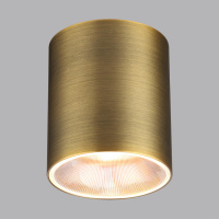 Светильник точечный потолочный светодиодный Odeon Light BRIM 7137/12CL