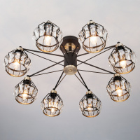 Потолочная люстра Eurosvet Lord 70075/8 черный 00000083339