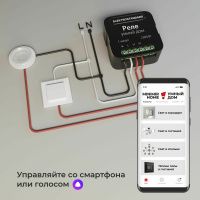 Умное одноканальное реле Elektrostandard 76006/00 a059324