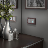 Сенсорный выключатель одноклавишный с функцией Wi-Fi Werkel a048323 a048323