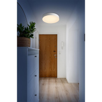 Светильник настенно-потолочный светодиодный Sonex OPTIMA 7779/ELN