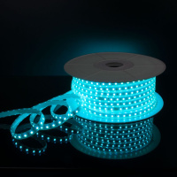 Светодиодная лента Elektrostandard 220V 11W 60Led мульти, 50 м a053641