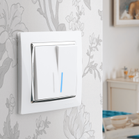 Выключатель двухклавишный проходной с подсветкой белый Werkel W1122101 4690389155222 a051112