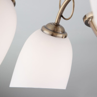 Потолочная люстра Eurosvet Stefanie 30107/5 античная бронза 00000078347