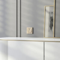 Рамка на 1 пост Werkel Slab (шампань софт) W0012911 a071623