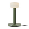 Настольная лампа светодиодная Freya Barries FR6185TL-L5GN Настольная лампа светодиодная Freya Barries FR6185TL-L5GN