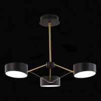 Люстра светодиодная на штанге Evoluce VALLE SLE6005-402-03