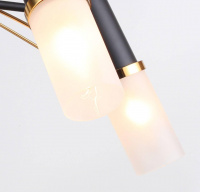 Потолочная люстра F-Promo Viator 2558-5P