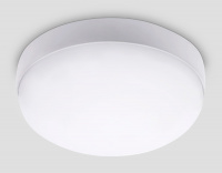 Уличный светильник потолочный Ambrella light Street ST8631