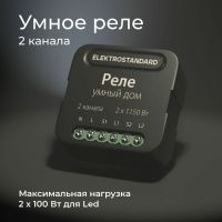 Умное двухканальное реле Elektrostandard 76007/00 a059326