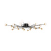 Люстра потолочная Freya Celebrity FR5242CL-24B