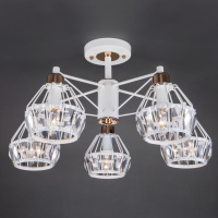 Потолочная люстра Eurosvet Lord 70075/5 белый 00000084041