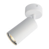 Спот Arte Lamp Aquarius A3216PL-1WH