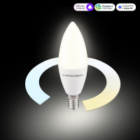 Лампа светодиодная E14 7Вт 3300-6500K 220V Elektrostandard Smart BLE2779 a071005