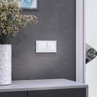 Выключатель двухклавишный проходной с подсветкой белый Werkel Hammer W1222101 4690389162626 a052033