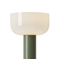 Настольная лампа светодиодная Freya Barries FR6185TL-L5GN Настольная лампа светодиодная Freya Barries FR6185TL-L5GN