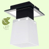 Потолочный светильник Lussole Lente GRLSC-2507-01