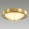 Потолочный светильник Lumion Nina 5259/2C Потолочный светильник Lumion Nina 5259/2C