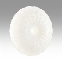 Светильник настенно-потолочный светодиодный Sonex ANIX 7678/ELN