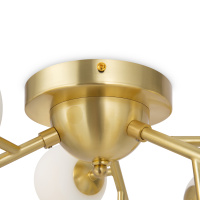 Люстра потолочная Maytoni Dallas MOD545CL-12BS