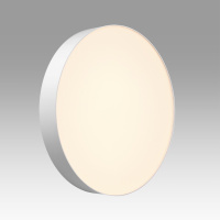 Светильник настенно-потолочный светодиодный Sonex OPTIMA 7779/ELN