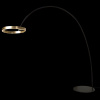 Торшер светодиодный Loft IT Ring 10027